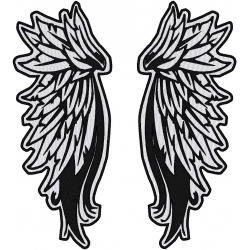 REFLECTIVE ANGEL WINGS